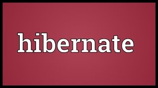 Hibernate Meaning [upl. by Arhna]