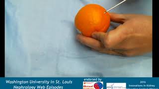 Web Episode 025b  Kidney Biopsy Handson Demonstration [upl. by Donelu]