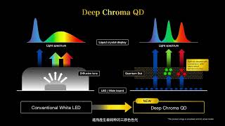 AQUOS XLED 技術：Deep Chroma QD 突破黑與光的極限 [upl. by Edlin885]