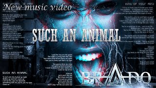 Brado  Such an Animal Official music video [upl. by Kieran]