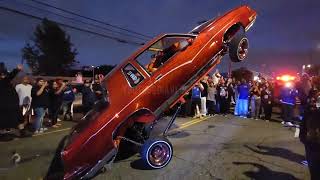 lowriders cruising and celebrating Majestic cc 50th anniversary part 3 [upl. by Lawry639]