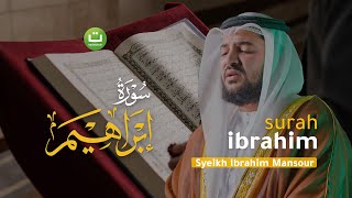 Bacaan Merdu Surah Ibrahim سورة ابراهيم  Syeikh Ibrahim Mansour  Tadabbur Daily [upl. by Nagaer]