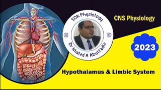 Hypothalamus and limbic system Physiology 32023 by Dr Khaled A Abulfadle [upl. by Bolan519]