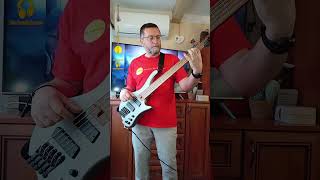 Just practicing Niebo Dla Ciebie Urszula  short bass cover [upl. by Babara]