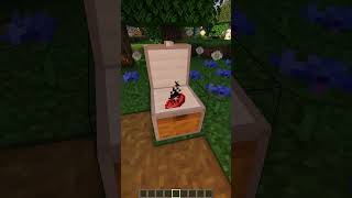 Best mods Minecraft 5 [upl. by Hen]