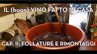 IL buon VINO FATTO IN CASA  CAP 2 FERMENTAZIONE FOLLATURE E RIMONTAGGI [upl. by Nilyak]