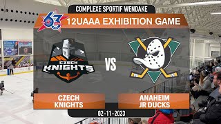 QUEBEC PEWEE AAA EXHIBITION  2010AAA Anaheim Jr Ducks vs Czech Knights 02112023 [upl. by Bernat]