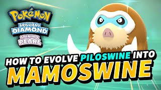 How to evolve PILOSWINE into MAMOSWINE Pokemon Brilliant Diamond amp Shining Pearl [upl. by Hebert]