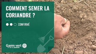 TUTO Comment semer la coriandre   Jardinerie Gamm vert [upl. by Akemak588]