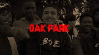 BOE Sosa x Mozzy x ShooterGang Type Beat 2017  Oak Park [upl. by Nnaeiram]