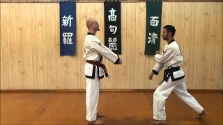 River Valley Tang Soo Do Academy  One Step Drills  Two by Two Flow [upl. by Harrietta]