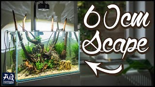 60cm Aquarium einrichten im InselStyle  AquaOwner [upl. by Surtimed]