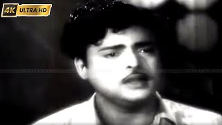 வானில் காணும் நிலாவே பாடல்  Vaanil Kannum Nilaave Song  A M Rajah amp Jikki  Aasai [upl. by Kantor]