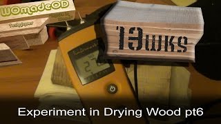 Drying Wood Experiment  Update 13wks [upl. by Hallie376]