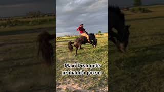 caballos horse tradiciones jineteadas gauchos argentina [upl. by Emorej595]