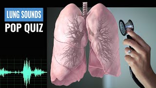 Name that Lung Sound Lung Sound Quiz  NCLEX REVIEW [upl. by Lehctim495]