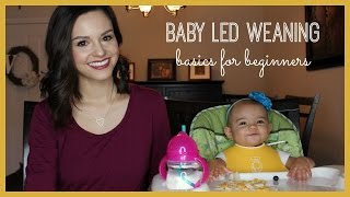 Baby Led Weaning  Basics for Beginners [upl. by Rexferd]