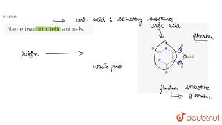 Name two uricotelic animals [upl. by Darby]