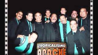 TROPICALISIMO APACHE LICO LICOR EN VIVO [upl. by Barron]