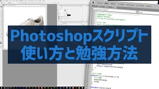 Photoshopスクリプトの使い方と勉強方法｜写真撮る人鈴木遥介 [upl. by Illah]