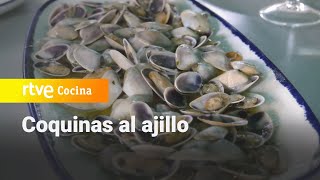 Coquinas al ajillo  Ahora o nunca  RTVE Cocina [upl. by Nadnarb]