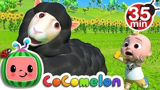 Baa Baa Black Sheep  More Nursery Rhymes amp Kids Songs  CoComelon [upl. by Alhsa]