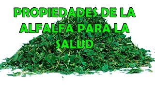 Propiedades de la Alfalfa para La Salud [upl. by Blackwell]