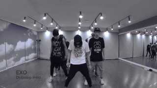 EXO Intro Dubstep [upl. by Rubenstein838]