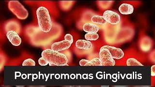 This One Bacteria Is Linked To Countless Diseases Porphyromonas Gingivalis [upl. by Nyer]