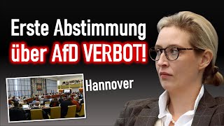 Erste Stadt stimmt über AfD Verbot ab ampel politik aliceweidel [upl. by Tiat367]