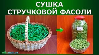 Сушка cтручковой фасоли – 5 кг [upl. by Danialah985]