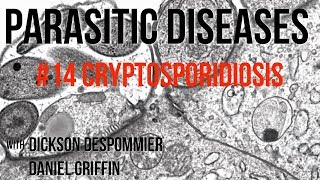 Parasitic Diseases Lectures 14 Cryptosporidiosis [upl. by Eelimaj]