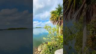 Biscayne’s Boardwalk Exploring Natural Beauty on Foot nationalpark [upl. by Fannie]