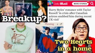 Harry amp Taylor Breakup  Two Hearts In A Home [upl. by Tiersten35]