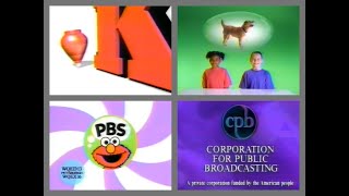 PBS Kids Program Break 2000 WQED 27 [upl. by Hogue763]