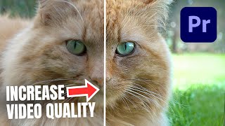 Instantly IMPROVE Video Quality In Premiere Pro [upl. by Chloette511]