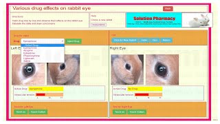 Mydriasis and Miosis Effect of Drug on Rabbit Eyes  Experiment Through ExPharm Software [upl. by Gnauq]