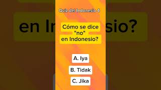 Quiz del Indonesio 4 [upl. by Aynam508]