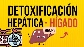 🔍 Secretos del HÍGADO  Conoce las CLAVES para una Detoxificación EFECTIVA 🤔 [upl. by Klepac]