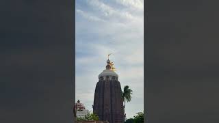 Sri Jagannath temple Puri 🙏 jayjagannath puri odiabhjan viralshorts trenging hindufestival [upl. by Ensoll]