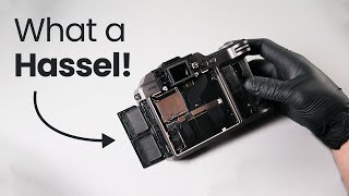 Hasselblad 1DX II 50C Teardown  Disassembly  Infrared Conversion [upl. by Emiolhs769]