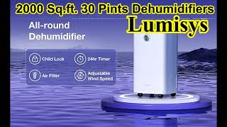 Lumisys 2000 Sq Ft 30 Pints Dehumidifiers OverviewDetailsReviews [upl. by Borlase793]