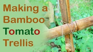 Making a Bamboo Tomato Trellis Day 21 of 30 [upl. by Lemhaj]