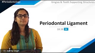 Periodontology  Gingiva amp Tooth Supporting Structures  Periodontal Ligament  NEET MDS  MERITERS [upl. by Eppie922]