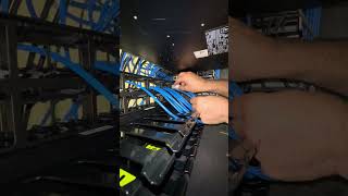 Lessing and Terminating of cat6 UTP unshielded cable on the panduit patch panel [upl. by Akram739]