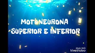 Motoneurona superior e inferior [upl. by Norek518]