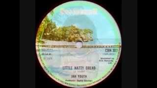 JAH YOUTH  LITTLE NATTY DREAD amp DUB CARIBBEAN REGGAE [upl. by Boynton]