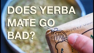 Does Yerba Mate Tea Expire Find out here [upl. by Kcirdled]