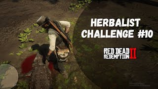 Herbalist Challenge 10 Guide  Red Dead Redemption 2 [upl. by Salvay143]