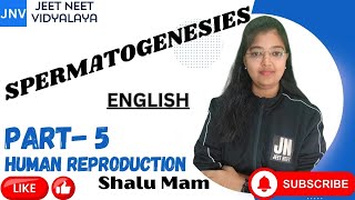 SPERMATOGENESIS PART 5HUMAN REPRODUCTION SHALU NEET TRICKS LINE BY LINE ZOOLOGY CBSE ENGLISH [upl. by Illom]